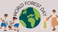 II World Forest Day Gran Canaria