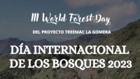 III World Forest Day La Gomera