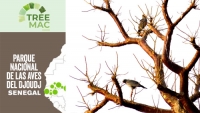 Voluntariado Transnacional en Senegal