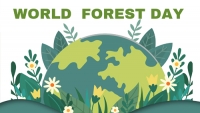 Voluntariado World Forest Day - Osorio