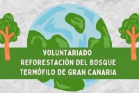 Voluntariado de reforestación en Gran Canaria